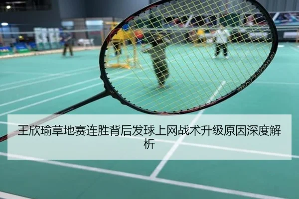 王欣瑜草地赛连胜背后发球上网战术升级原因深度解析